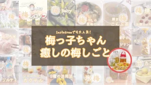 梅っ子ちゃん/癒しの梅しごと